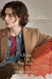 A Rainy Day in New York - Poster