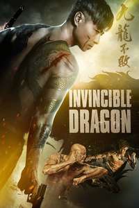 The Invincible Dragon - Poster