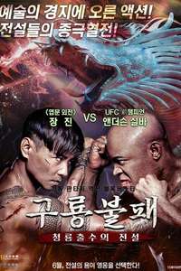 The Invincible Dragon - Poster
