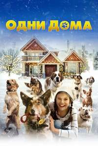 Pups Alone - Poster