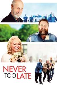 Never Too Late - Poster