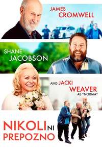 Never Too Late - Poster