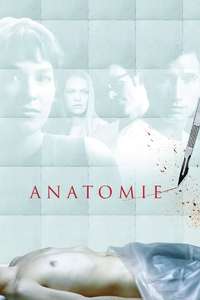 Anatomy - Poster