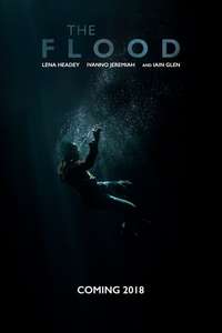 The Flood - Posters