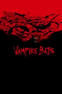 Vampire Bats - Posters