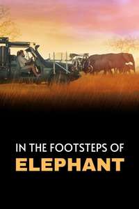 In the Footsteps of Elephant - Posters