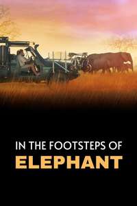 In the Footsteps of Elephant - Posters
