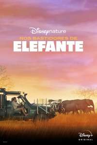 In the Footsteps of Elephant - Posters
