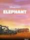 In the Footsteps of Elephant