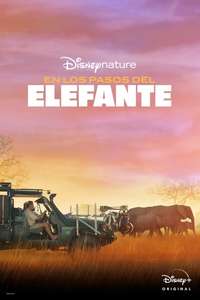 In the Footsteps of Elephant - Posters