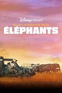 In the Footsteps of Elephant - Posters