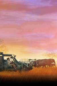 In the Footsteps of Elephant - Posters