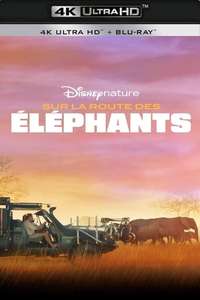 In the Footsteps of Elephant - Posters