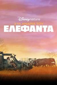 In the Footsteps of Elephant - Posters