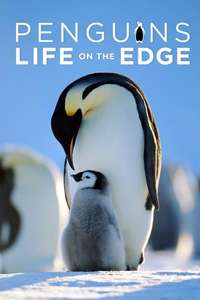Penguins: Life on the Edge - Posters