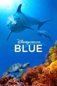 Dolphins - Posters