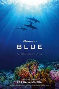 Dolphins - Posters