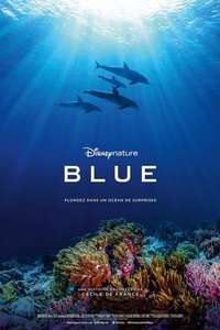 Dolphins - Posters