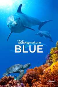 Dolphins - Posters