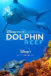 Dolphins