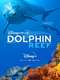 Dolphins
