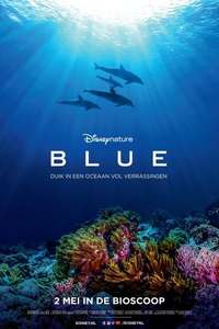 Dolphins - Posters