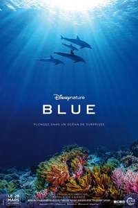 Dolphins - Posters