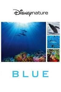 Dolphins - Posters