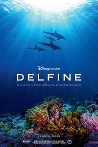 Dolphins - Posters