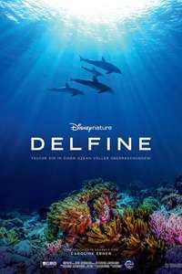 Dolphins - Posters