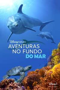 Dolphins - Posters