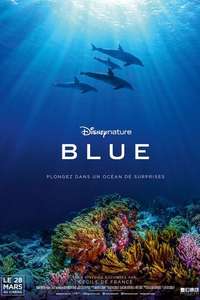 Dolphins - Posters