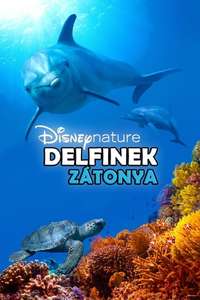 Dolphins - Posters