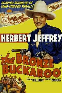 The Bronze Buckaroo - Posters