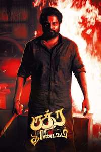 Rudra Thandavam - Poster