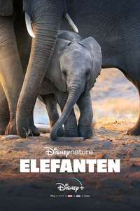 Elephant - Posters