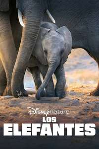 Elephant - Posters