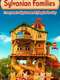 Calico Critters: Everyone's Big Dream Flying in the Sky