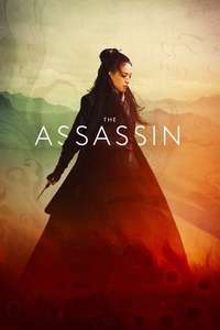 The Assassin - Poster