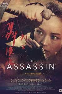 The Assassin - Poster