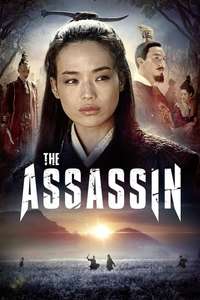 The Assassin - Poster