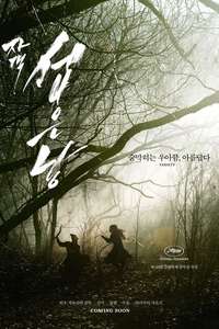 The Assassin - Poster