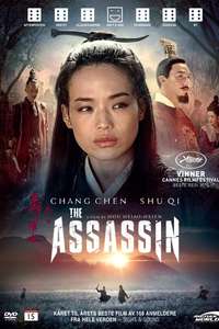 The Assassin - Poster