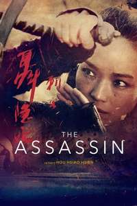 The Assassin - Poster
