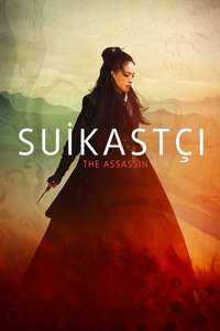 The Assassin - Poster