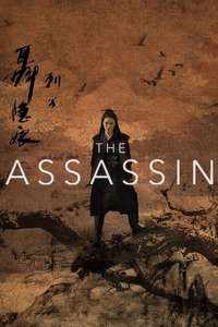 The Assassin - Poster