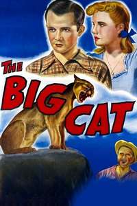 The Big Cat - Posters