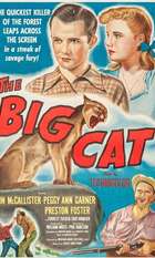 The Big Cat