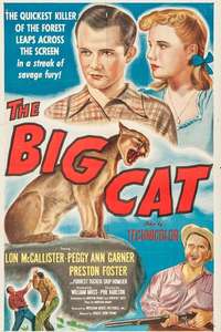 The Big Cat - Posters