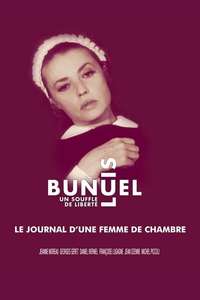 Diary of a Chambermaid - Poster